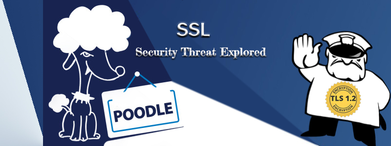 Poodle – SSL Security Threat Explored